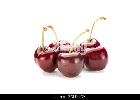 A bunch of ripe red cherries. Isolated on white background. Stock Photo