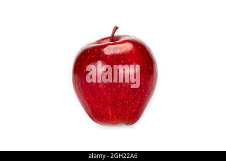 Fresh single red apple, isolated  on white background. Stock Photo