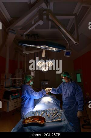 Two surgeons doctor shake hands with trust and confident give promise to work  for patient in operation room. Stock Photo