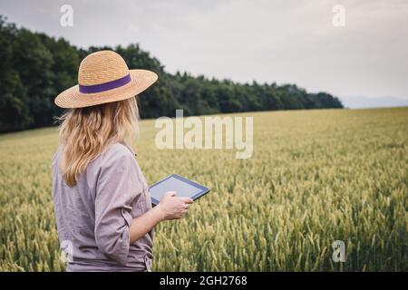 Farmer using modern technology for smart farming. Female agronomist with digital tablet examining and quality contol of wheat field. Agriculture Stock Photo