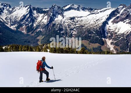 WA20270-00....WASHINGTON - Woman hiking across the snow near the summit of Mount Dickerman. Cascade Mountains. Stock Photo