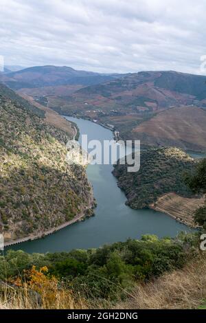 Panoramic view on Douro river valley and colorful hilly stair step terraced vineyards in autumn, wine and port making industry in Portugal Stock Photo