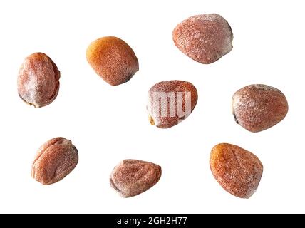radish seeds macro isolated on white background Stock Photo