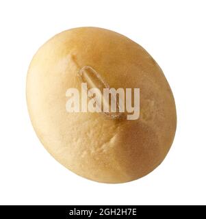 soy bean macro isolated on white background Stock Photo