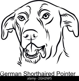 German Shorthaired Pointer Portrait Dog in Line style - Pet Portrait in Light Style head isolated on white - vector stock Stock Vector
