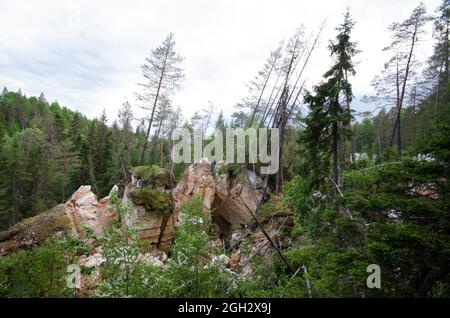 Trees on the cliff. Windbreak. Rocks with pine trees Stock Photo - Alamy