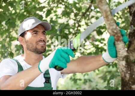 man saws sawing a tree branch Stock Photo