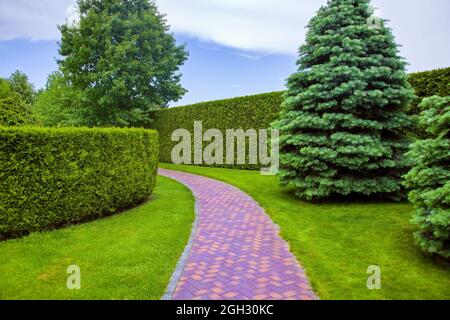 pedestrian path made of red stone tiles is curved in an arc in the park among the hedge of evergreen thuja and trees. A place for walking and rest, no Stock Photo