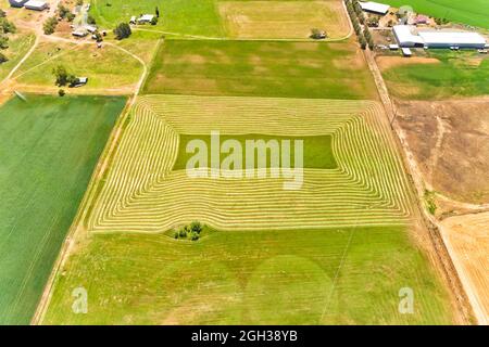 Green cultivated irrigated farm fields around remote farm in Hunter valley on riverbanks of Hunter river - australian aerial view. Stock Photo