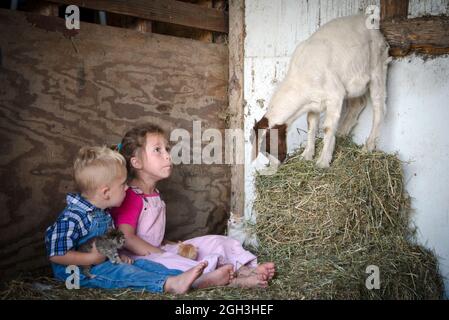 two farm kids in overalls who are playing with new kittens, are surprised by a friendly goat who interrupts their play session Stock Photo