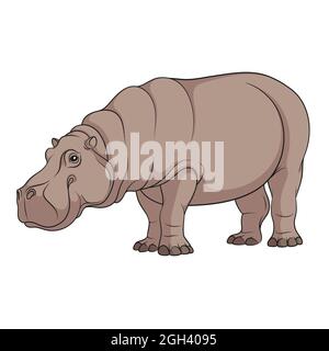 Color illustration of a hippopotamus. Isolated vector object on white background. Stock Vector