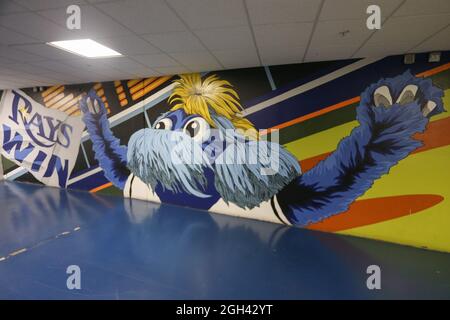 St. Petersburg, FL. USA; Tampa Bay Rays mascot Raymond was on the field  prior to a major league baseball game against the Toronto Blue Jays, Sunday  Stock Photo - Alamy