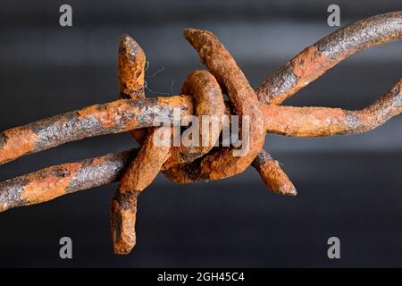 Rusty barbed wire, close up, on an industrial type background Stock Photo