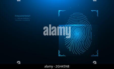 Fingerprint identification concept. Polygonal vector illustration of scanning biometric data on a dark blue background. Stock Vector
