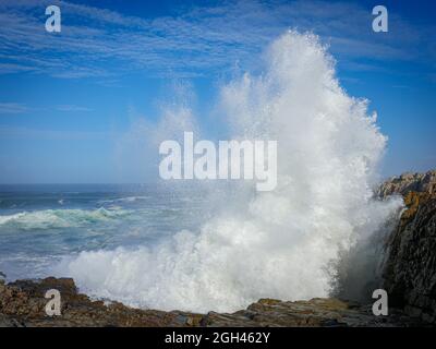 Image Number GH5R396066. Spray from a large ocean wave crashing onto rocks at Hermanus. Whale Coast. Overberg. Western Cape. South Africa Stock Photo