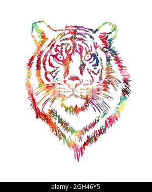 The face of a multi-colored lion. Vector illustration Stock Vector