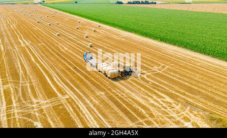 Above view on excavator as loading straw bales on trailer, tow by truck at farmland, using forklift blade, additional carrier. Stock Photo