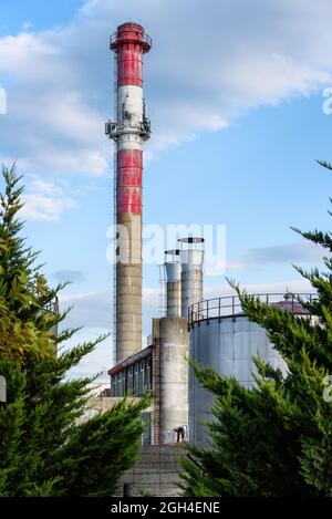 White and red chimney on a background of blue sky and pine trees. Smoking chimney pollution. Gas-powered power plant chimney Stock Photo