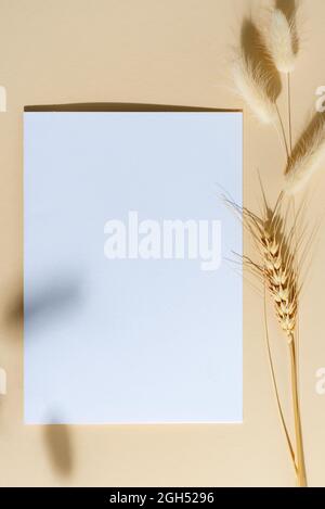 Mockup paper card with shadow on a beige background. Stock Photo