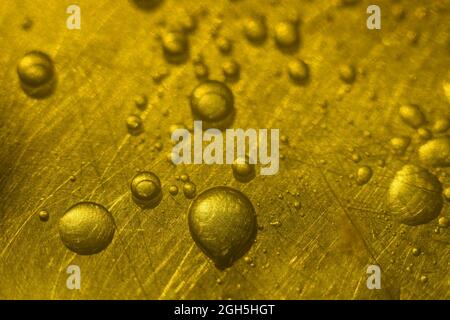 oil bubble images ,stock photo Stock Photo