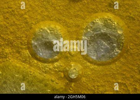 oil bubble images ,stock photo Stock Photo