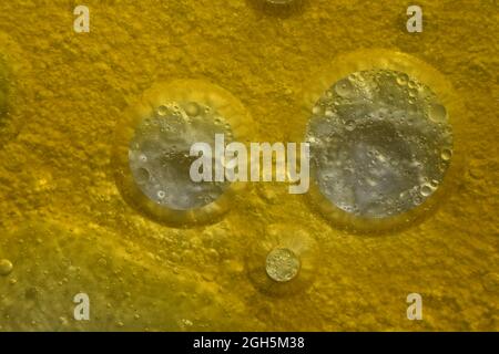 oil bubble images ,stock photo Stock Photo