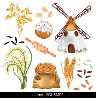 Cereals barley, ears of wheat and windmill, rice, bakery products, sack with wheat, oats on white background. Agriculture, organic product. Vector illustration Stock Vector