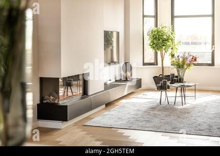 Contemporary interior of spacious living room with comfortable sofa and fireplace in flat designed in minimal style Stock Photo