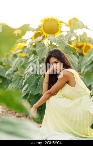 Side view of young long haired Hispanic brunette in boho style yellow dress hunkering down and looking at camera in summer field with blooming sunflow Stock Photo