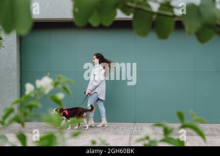 Side view of female owner walking with Border Collie dog on leash while having fun during stroll in city Stock Photo