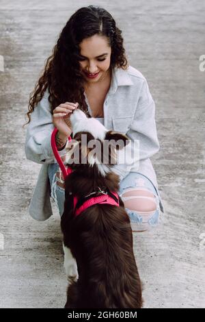 Front view of positive female owner feeding adorable Border Collie dog sitting during training in city street Stock Photo