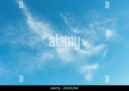Wispy cirrus clouds in the blue sky on a sunny day. Clear azure summer sky with sparse translucent clouds. Weather forecasting, vacation, travel. Stock Photo