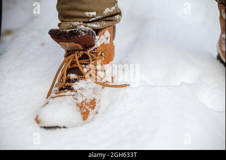 Crop of unrecognizable male walking along snowy road in winter woods Stock Photo