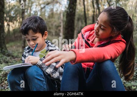 Ethnic boy writing in notepad against sister looking through binoculars while sitting on land in summer woods Stock Photo