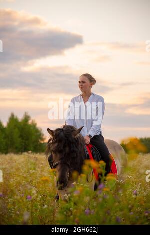 A girl in a white shirt rides a horse on a field. Stock Photo