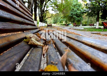 Autumn leaves on a park bench. Close up view of a bench in a park surrounded by fallen leaves in Autumn Stock Photo