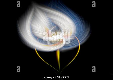 Calla Lily abstract Stock Photo