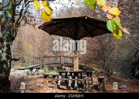 Wooden picnic umbrella table in the park surrounded with forest. Nature protection. Stock Photo