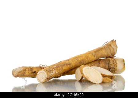 Two whole spicy horseradish roots and slices, close-up, isolated on white. Stock Photo