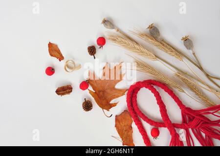 autumn leaves composition with shopping bag on white background Stock Photo