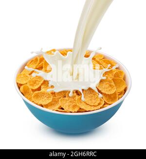 Corn flakes with pouring milk isolated on white background Stock Photo