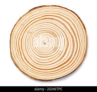 Wooden circle isolated on white background Stock Photo