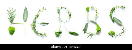 Herbs written of various herbs on white background Stock Photo