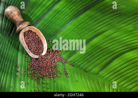Brown mustard seeds in the spoon - healthy food Stock Photo