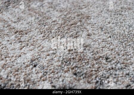 Beige and grey fabric texture carpet background . Carpet background closeup. Stock Photo