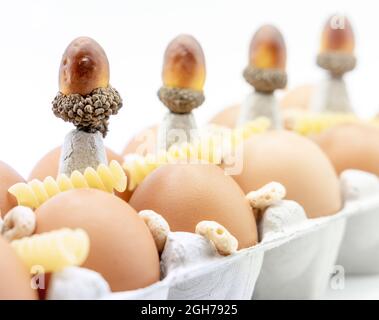 Chicken eggs pack with dry rotini, decorative acorns, and cheerios on the white background. Close up, selective focus Stock Photo