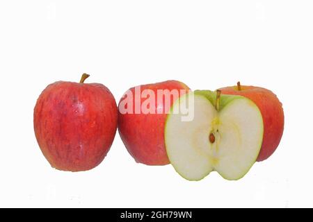Fresh ripe red and green apples isolated on white. Red apples isolated on white background, clipping path, full depth of field. Stock Photo