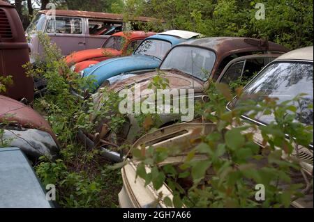 Old VW bugs and buses abandoned Stock Photo