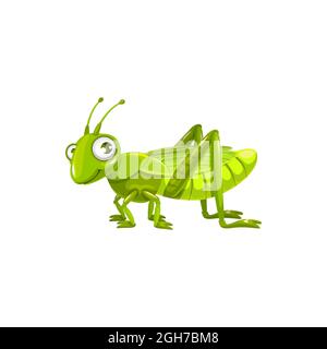 Cartoon grasshopper vector icon, funny locust insect with cute face and big eyes. kids club or pest control service mascot, design element, wild creat Stock Vector
