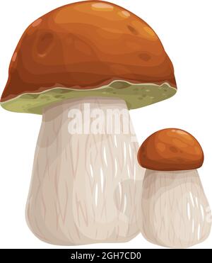 Cep mushroom, isolated cartoon vector fungus, known as porcini, wild ...